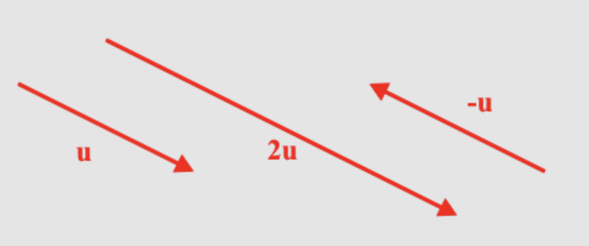 2u는 u에다가 상수값을 곱한 것으로 u와 방향은 같으나 ‘크기’가 다르다 (그림 출처)